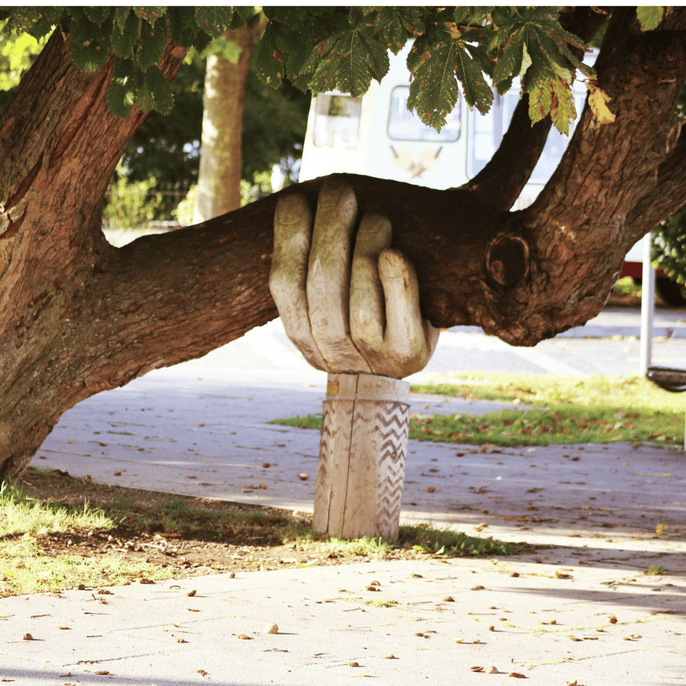 baum-stuetze-hand